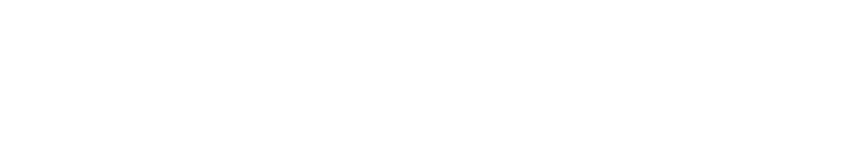 logo synneo